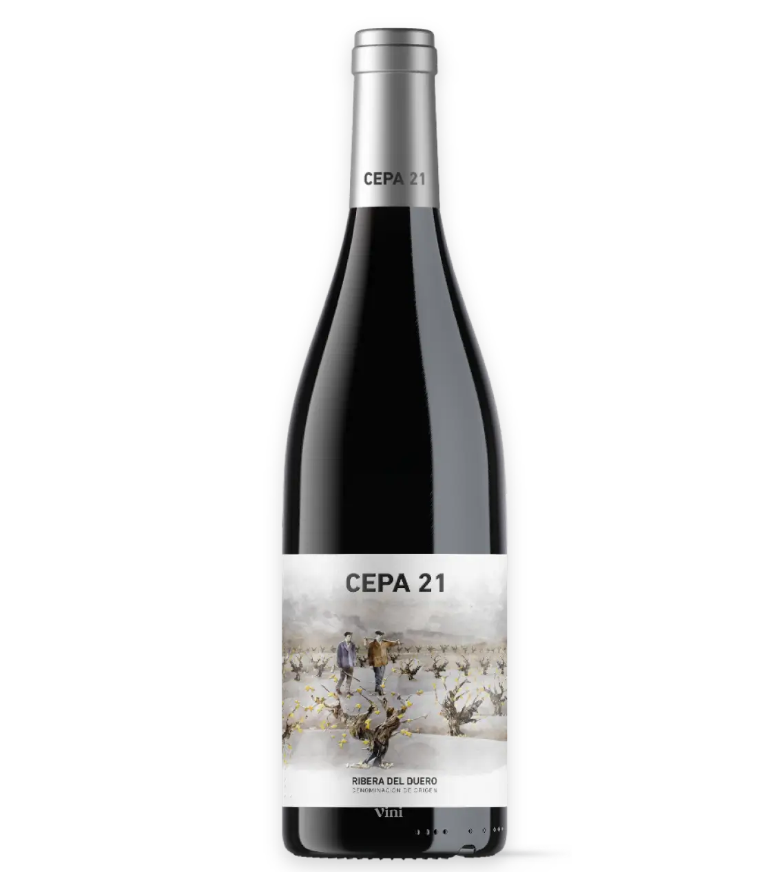 Vino Tinto Cepa 21